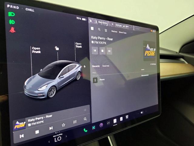 Photo of 2020 Gray Tesla Model 3