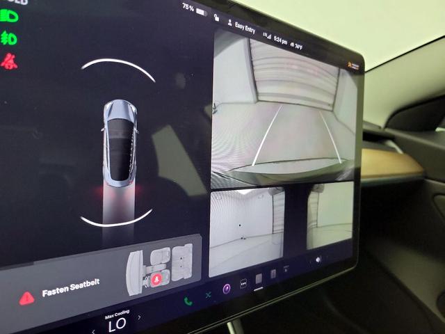 Photo of 2020 Gray Tesla Model 3