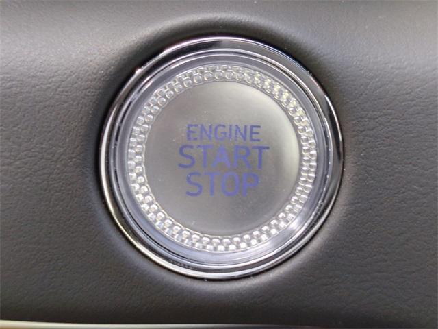 Photo of 2025 Vik Black Genesis GV80