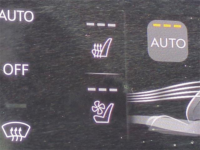 Photo of 2025 Vik Black Genesis GV80
