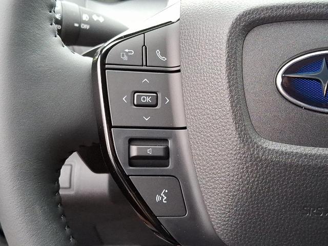 Photo of 2025 Galactic Subaru Solterra