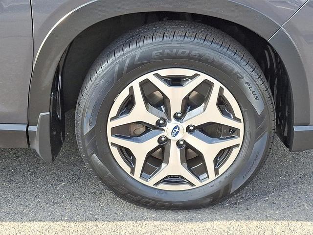 Photo of 2021 Magnetite Gray Metallic Subaru Forester