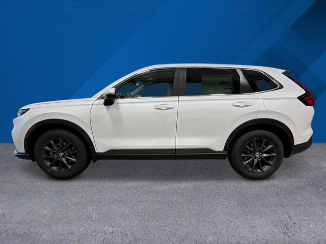Photo of 2026 Platinum White Pearl Honda CR-V