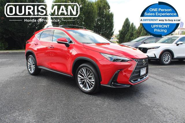 Photo of 2023 Redline Lexus NX 350