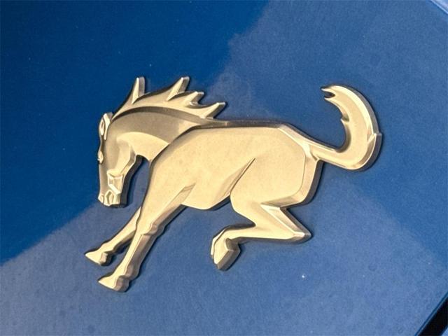 Photo of 2023 Velocity Blue Metallic Ford Bronco
