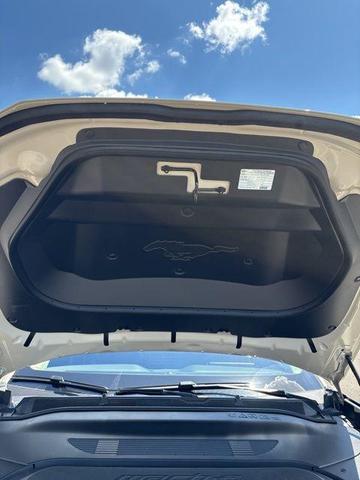 Photo of 2025 Desert Sand Ford Mustang Mach-E