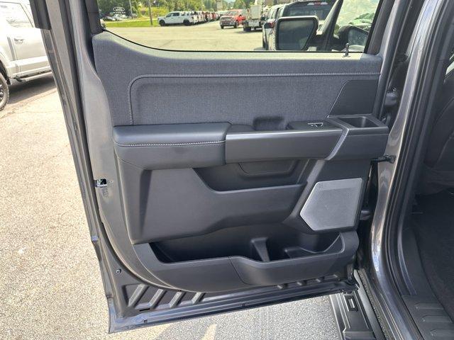Photo of 2024 Carbonized Gray Metallic Ford F-150