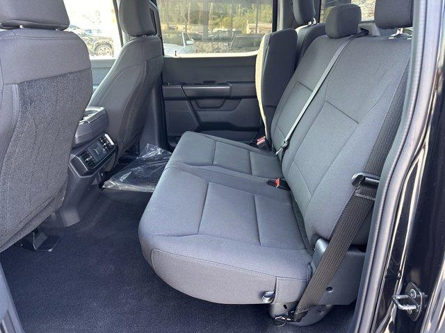 Photo of 2024 Agate Black Metallic Ford F-150