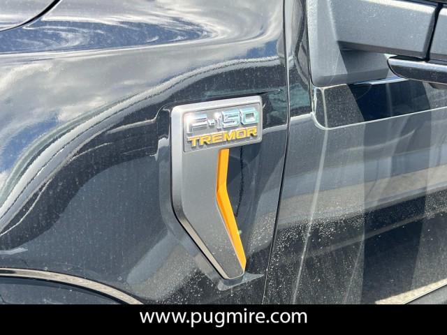 Photo of 2025 Agate Black Metallic Ford F-150