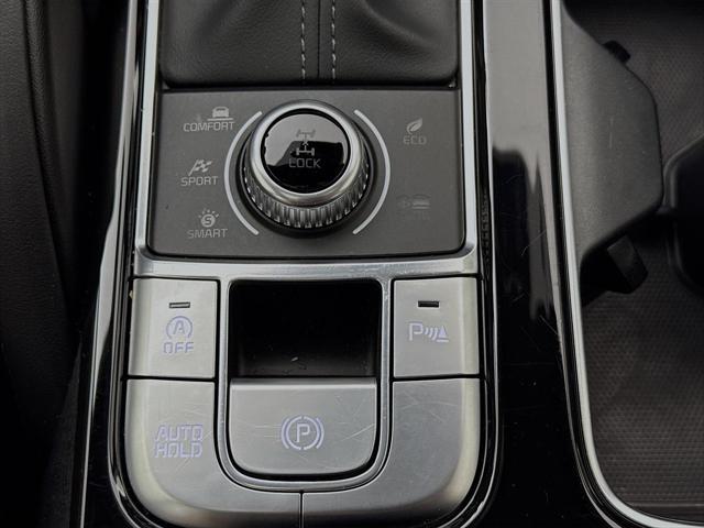 Photo of 2024 Everlasting Silver Kia Telluride
