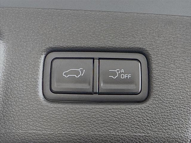 Photo of 2024 Everlasting Silver Kia Telluride