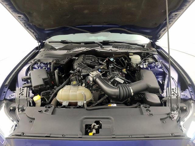 Photo of 2016 Blue Ford Mustang