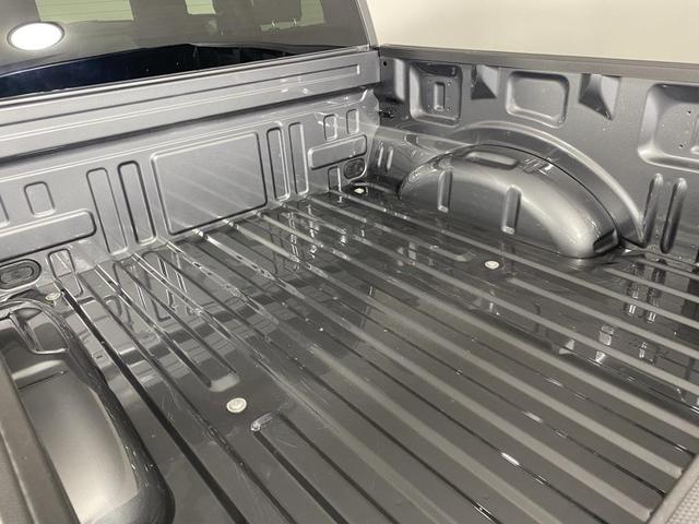 Photo of 2025 Carbonized Gray Metallic Ford F-150