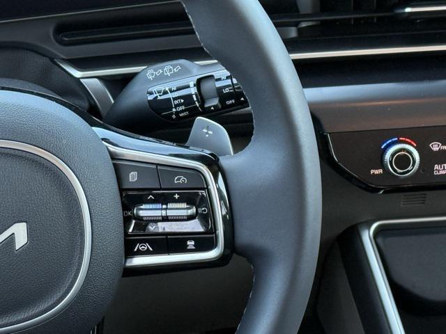 Photo of 2025 Panthera Metal Kia Carnival Hybrid