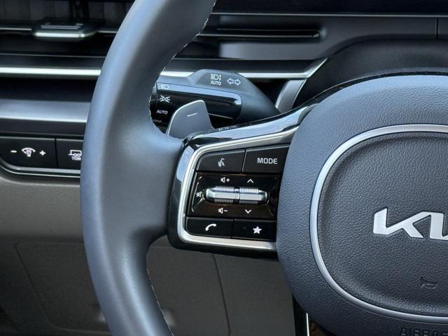 Photo of 2025 Panthera Metal Kia Carnival Hybrid