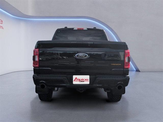 Photo of 2023 Black Ford F-150