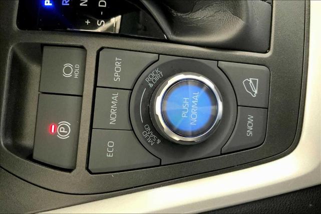 Photo of 2024 Ice Toyota RAV4