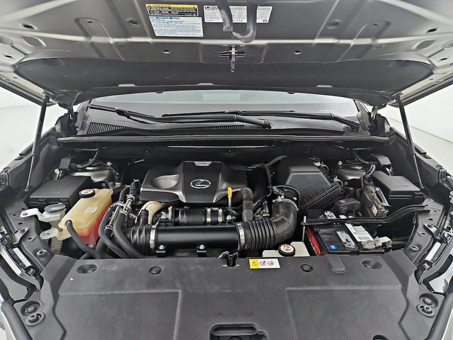 Photo of 2018 Silver Lexus NX 300