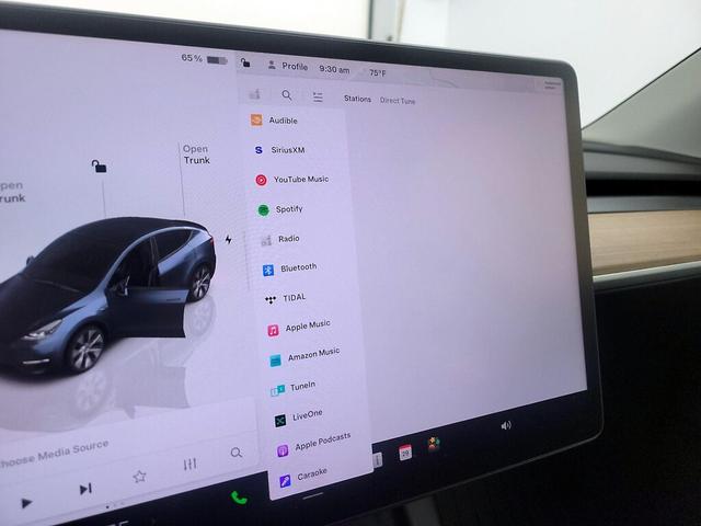 Photo of 2024 Black Tesla Model Y
