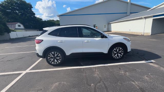 Photo of 2020 White Ford Escape