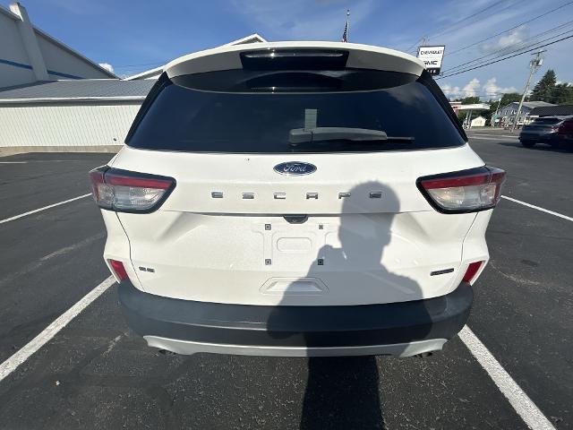 Photo of 2020 White Ford Escape