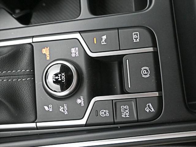 Photo of 2025 Jungle Green Kia Sorento