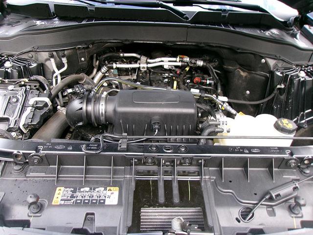 Photo of 2021 Blue Ford Explorer
