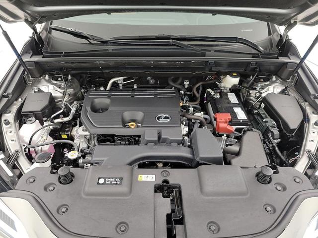 Photo of 2025 Gray Lexus NX 250