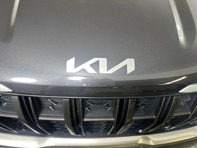 Photo of 2023 Panthera Metal Kia Carnival