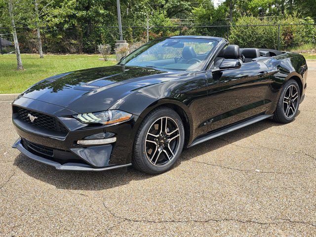 Photo of 2023 Shadow Black Ford Mustang