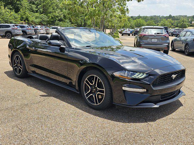 Photo of 2023 Shadow Black Ford Mustang