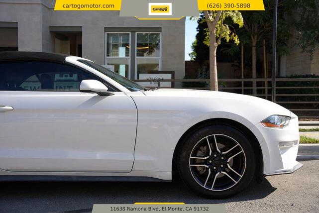 Photo of 2021 White Ford Mustang