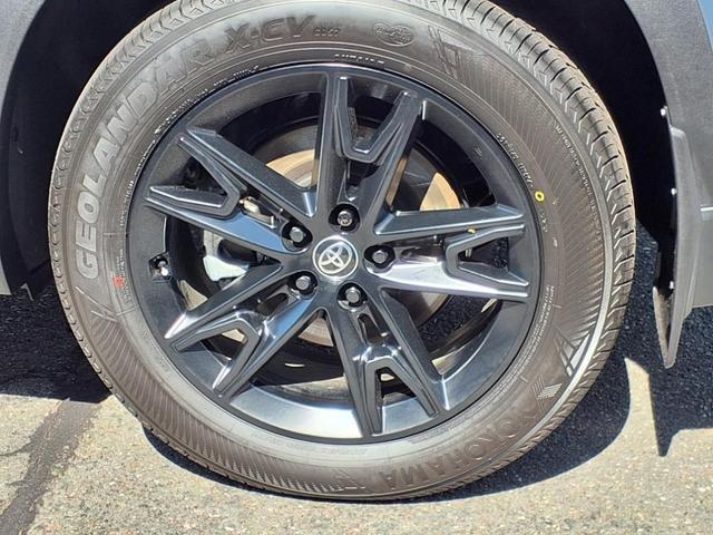 Photo of 2024 Storm Toyota Grand Highlander