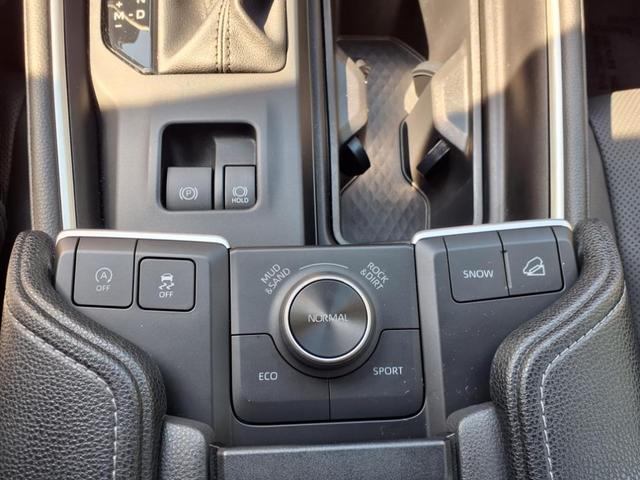 Photo of 2024 Storm Toyota Grand Highlander
