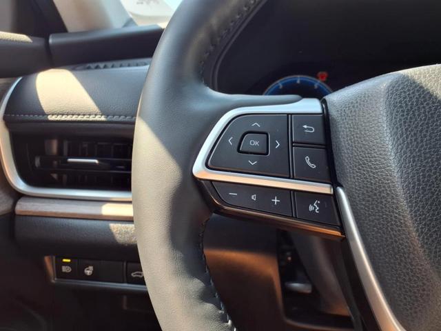 Photo of 2024 Storm Toyota Grand Highlander