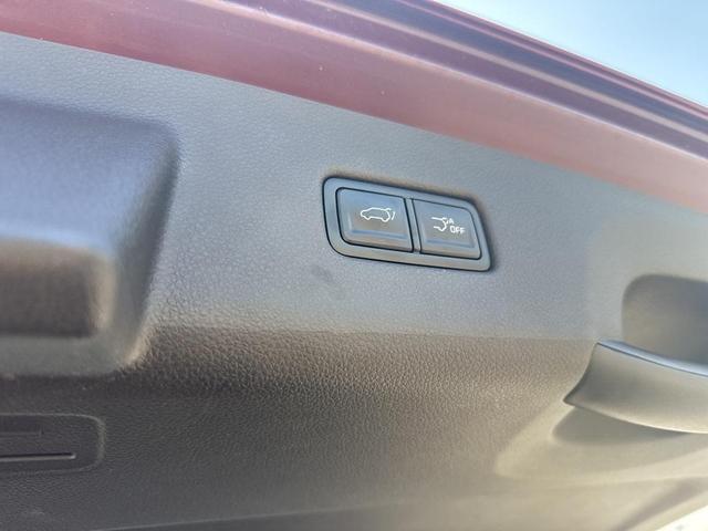Photo of 2022 Flare Red Kia Carnival