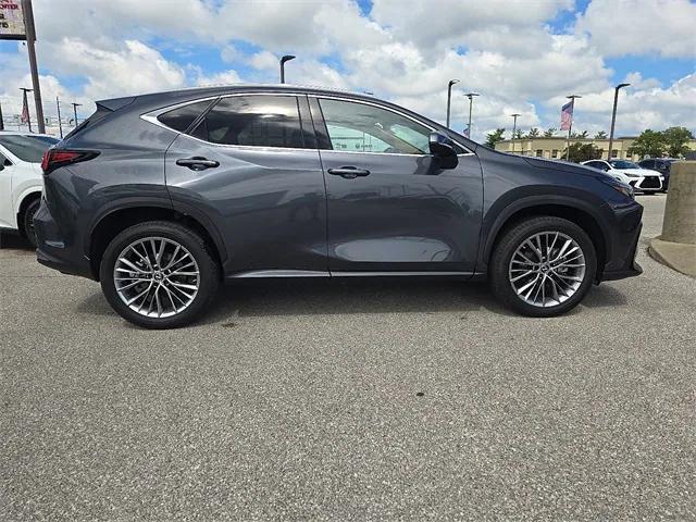 Photo of 2022 Cloudburst Gray Lexus NX 350h