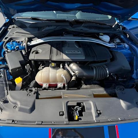 Photo of 2019 Velocity Blue Metallic Ford Mustang