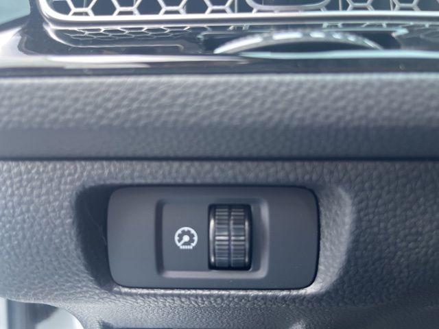 Photo of 2025 Platinum Honda Civic