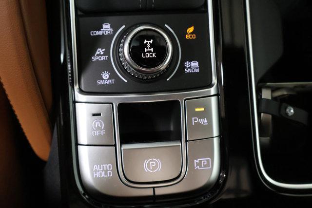 Photo of 2025 Panthera Metal Kia Telluride