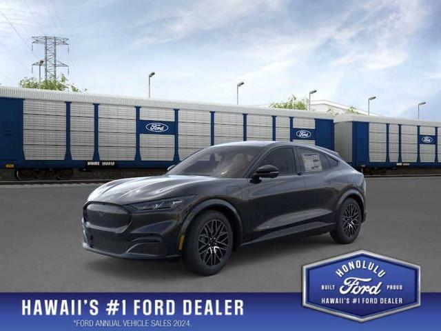 Photo of 2025 Shadow Black Ford Mustang Mach-E