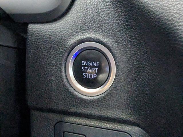 Photo of 2023 Ice Cap Toyota Tundra