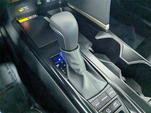 Photo of 2025  Toyota Camry