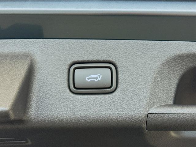 Photo of 2025 Robust Emerald Hyundai PALISADE
