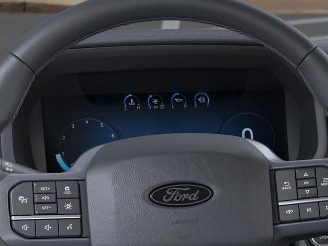 Photo of 2025 Carbonized Gray Metallic Ford F-150