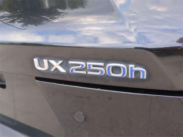 Photo of 2020 Caviar Lexus UX 250h