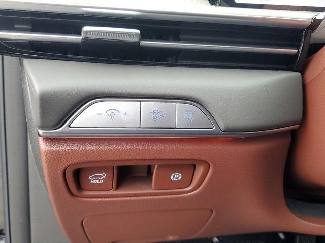 Photo of 2025 Vik Black Genesis GV80