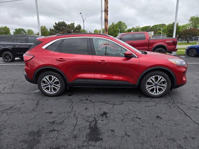 Photo of 2022 Rapid Red Metallic Tinted Clearcoat Ford Escape