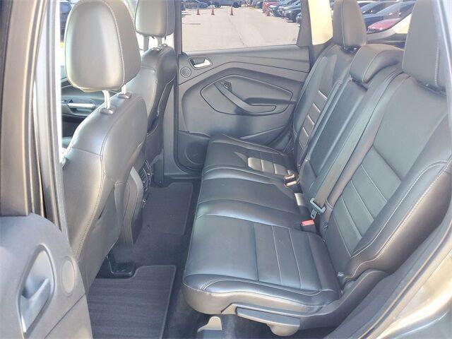 Photo of 2016 Magnetic Ford Escape