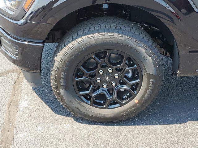 Photo of 2025 Agate Black Metallic Ford F-150